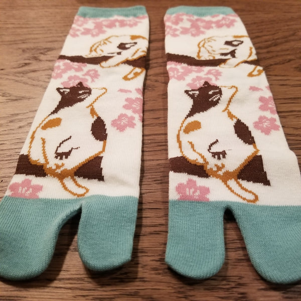 Tabi socks - Siamurai